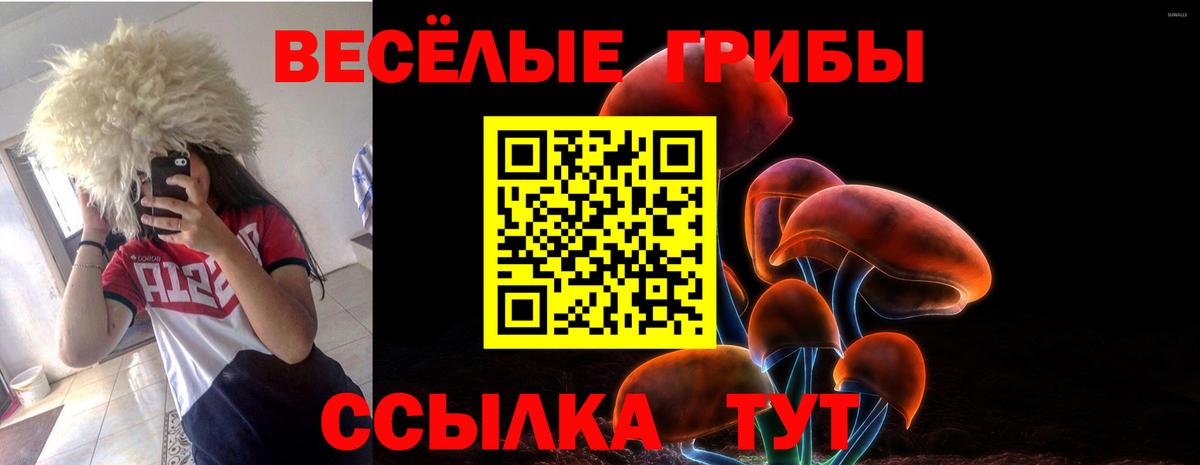 Сегежа  закладка  Вход с VPN  Псилоцибиновые грибы прущие грибы 